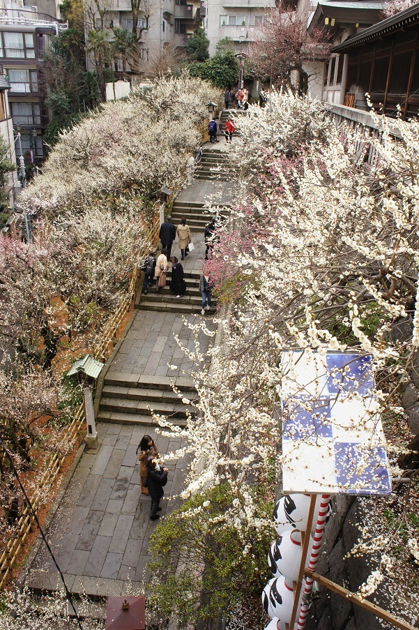 b0112909_22375074.jpg