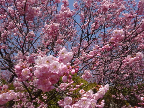 f0231709_17181194.jpg