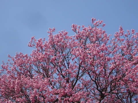 f0231709_17185970.jpg