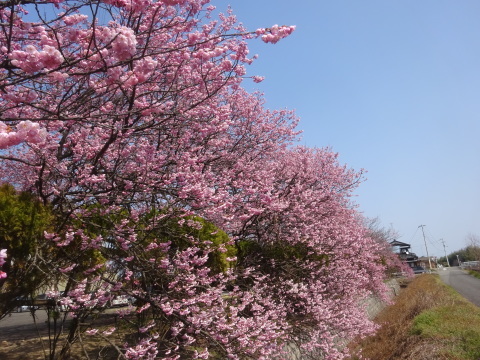 f0231709_17210975.jpg
