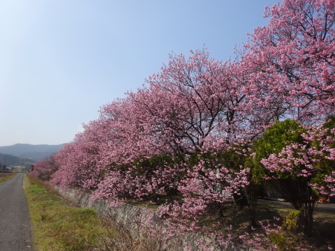 f0231709_17232694.jpg