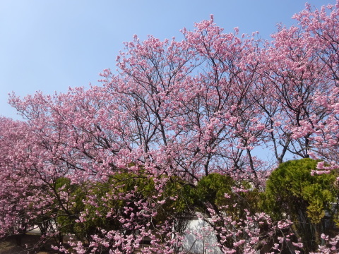 f0231709_17242083.jpg