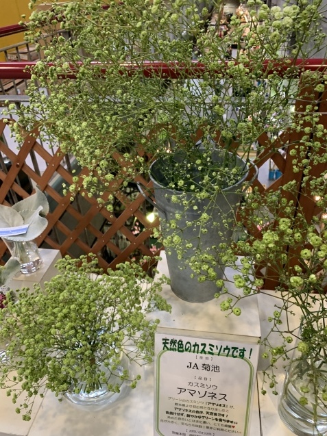 かすみ草は白だけじゃない 大宮のウエディング 装花専門店 Misena ブログ