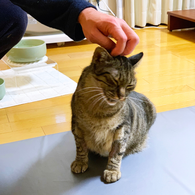 退院したよー&収支報告_d0355333_12151452.jpg