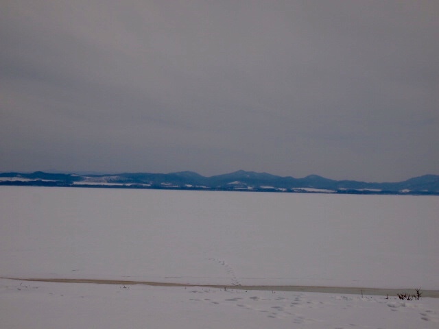 a0329935_16494599.jpeg