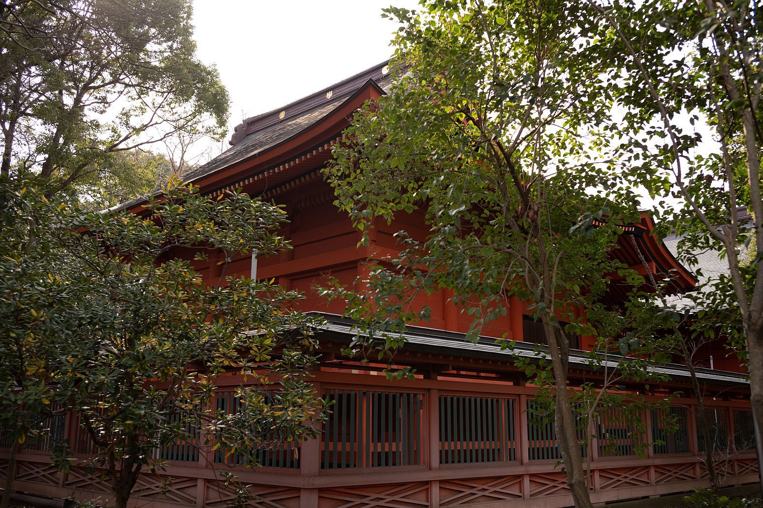 b0212342_09451817.jpg