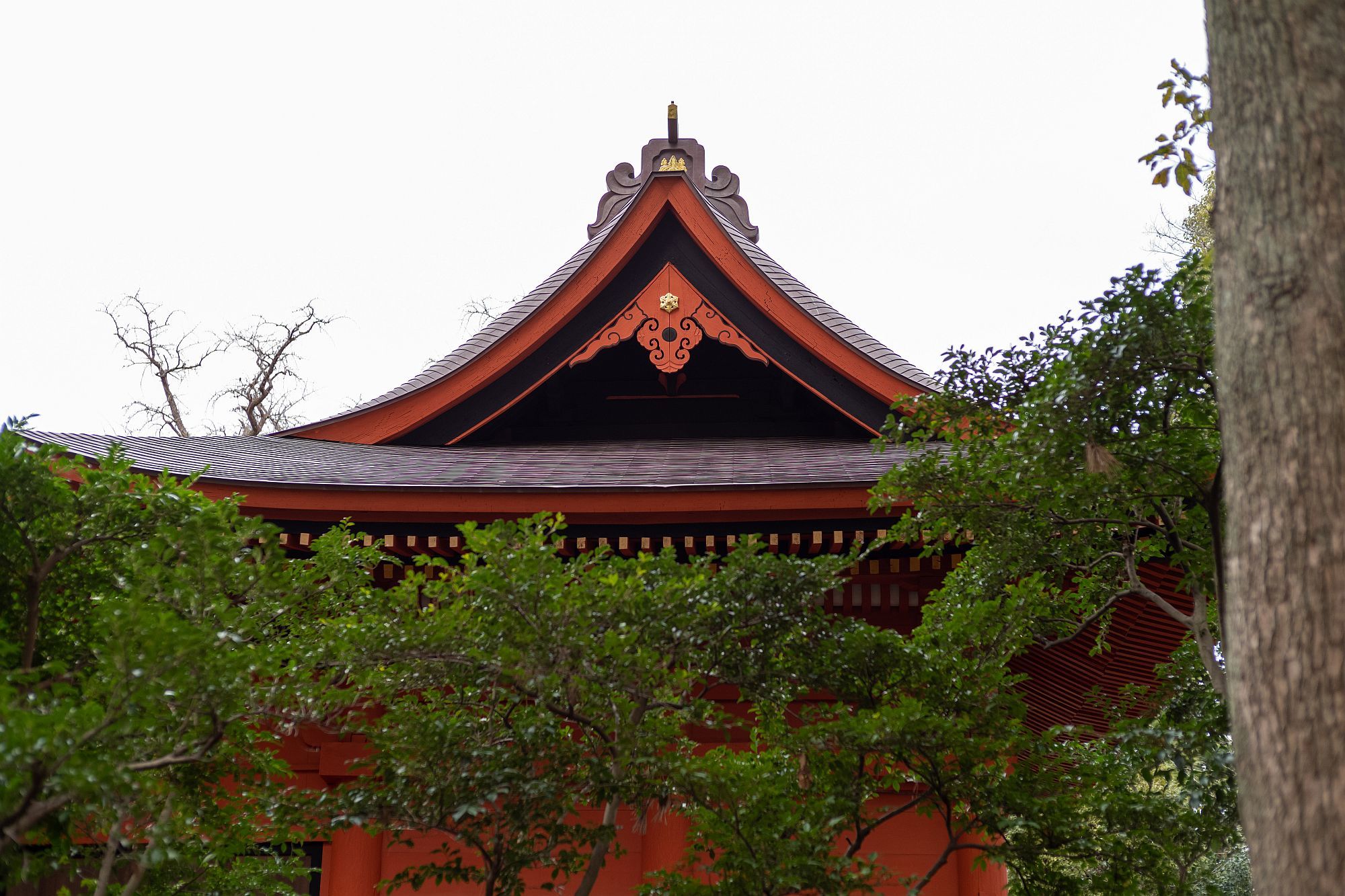 b0212342_09464148.jpg