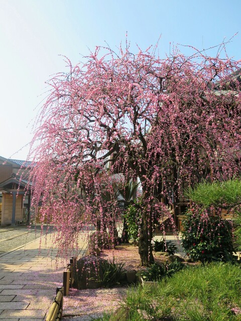 c0292342_12524449.jpg