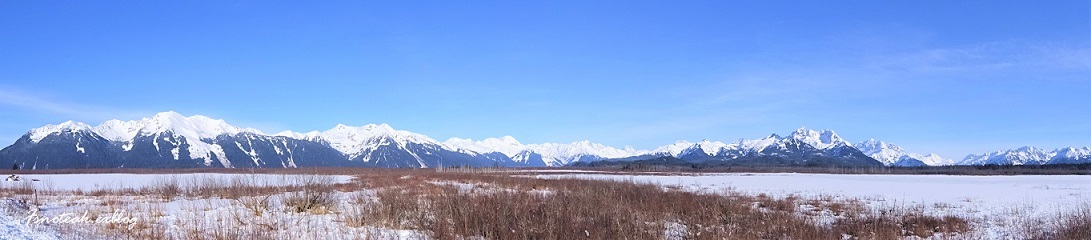 d0356844_04100772.jpg