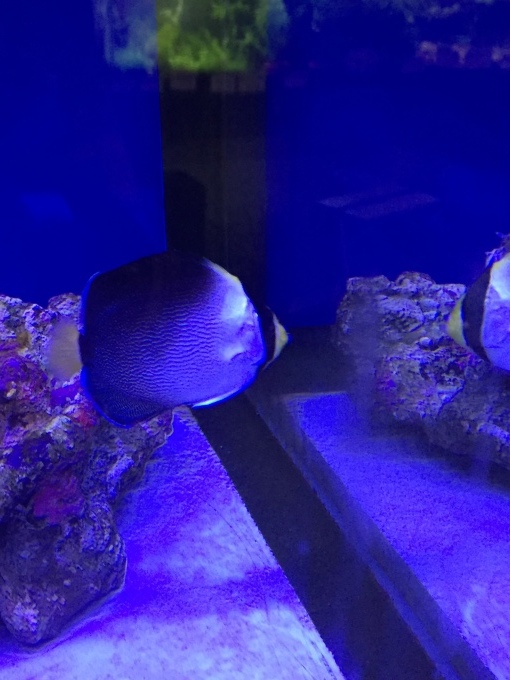 f0212047_21531969.jpeg