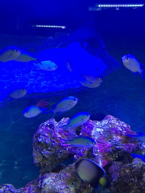 f0212047_21533525.jpeg