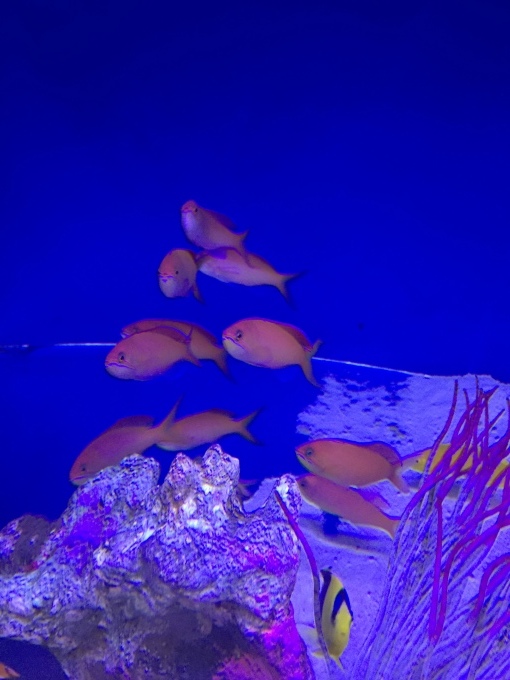 f0212047_21540029.jpeg