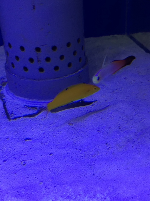 f0212047_21541124.jpeg