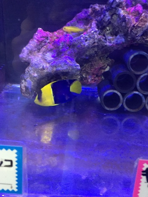 f0212047_21542499.jpeg