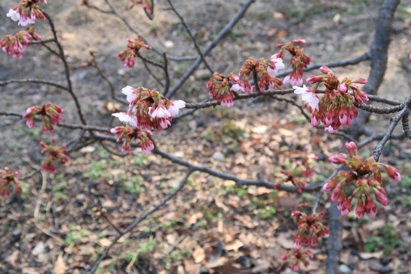 c0332548_20391529.jpg