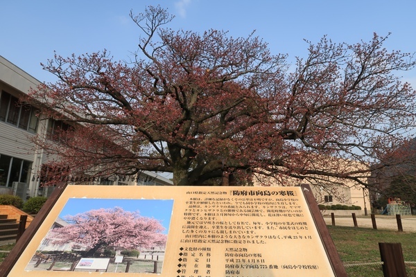 c0332548_21235102.jpg