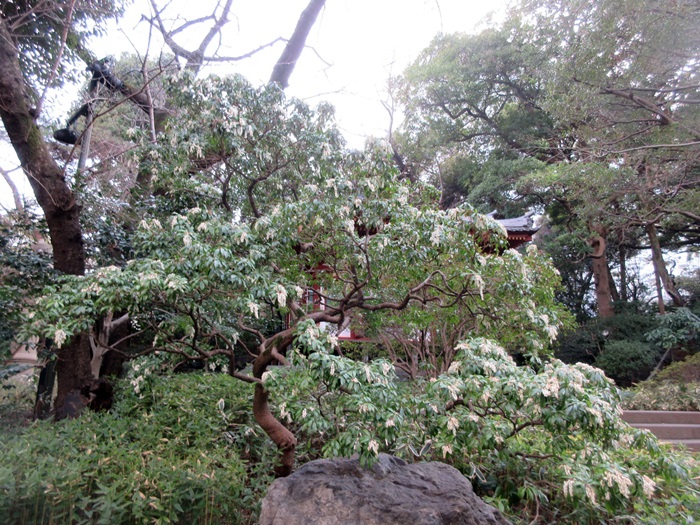 おやつタイムのラウンジ巡り【グランドプリンスホテル新高輪】_b0009849_11242370.jpg