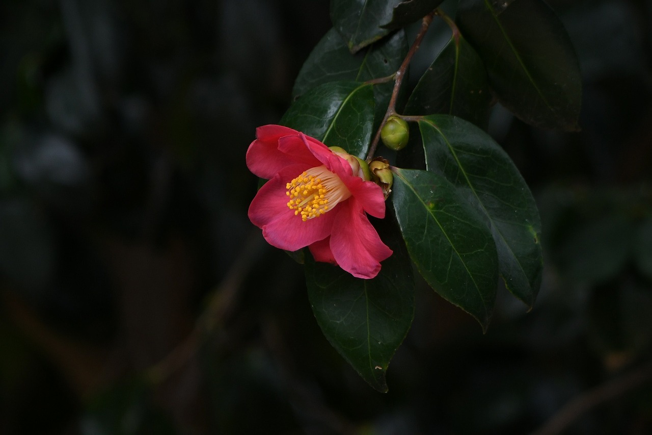 c0233349_10225735.jpg