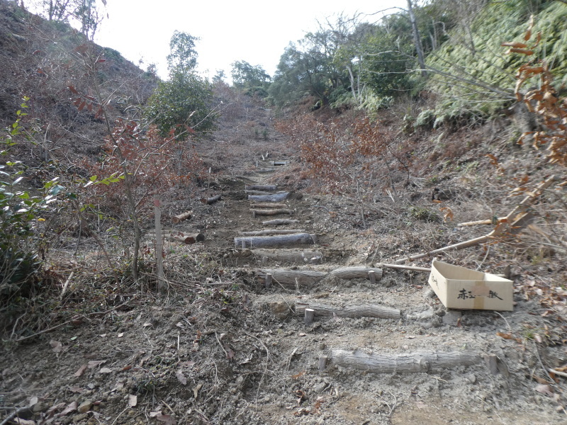 山道の階段改造作業継続・・・孝子の森_c0108460_18265462.jpg