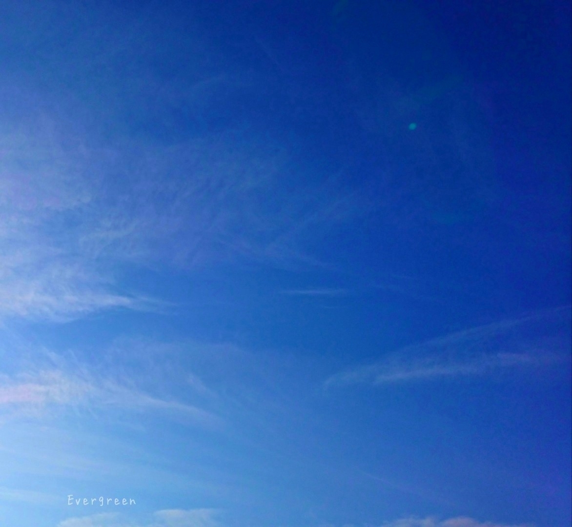 d0362666_20572127.jpg