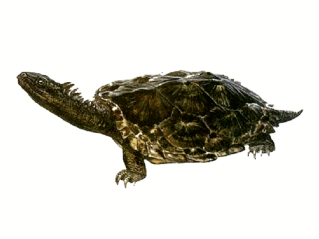 c0105569_01255285.png