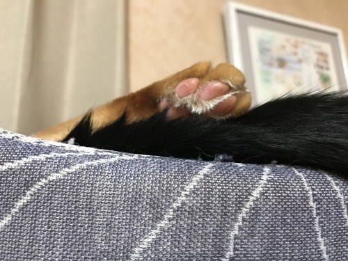 a0216583_22592415.jpeg