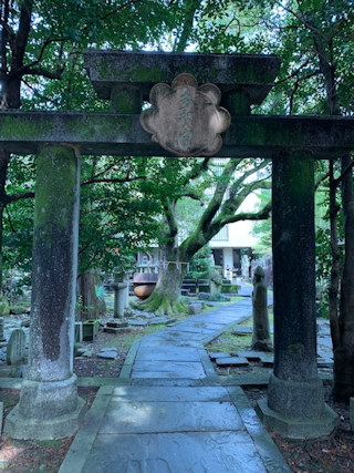 c0090198_20103145.png