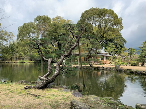 c0090198_20165463.png