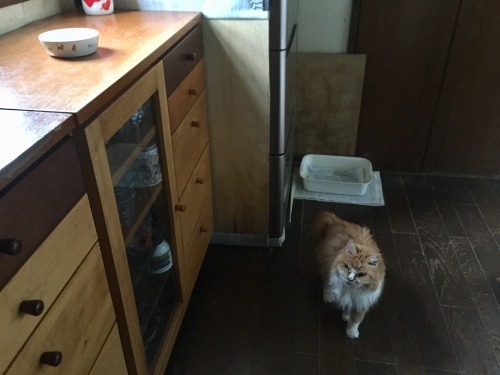 a0101905_23570901.jpeg