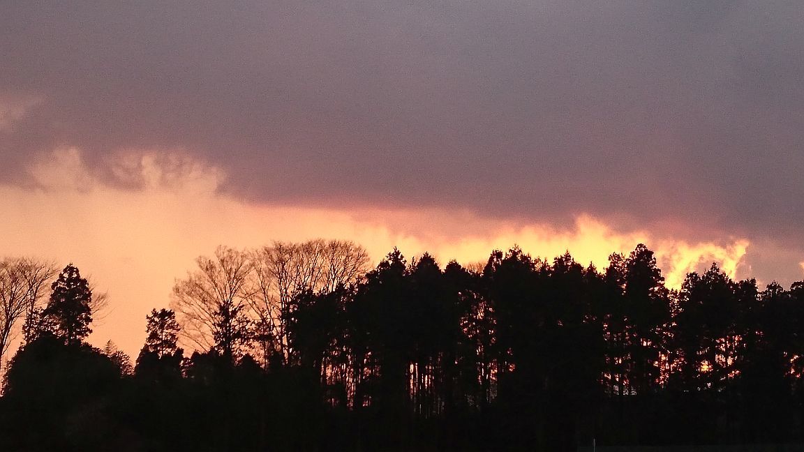 b0172805_01583265.jpg