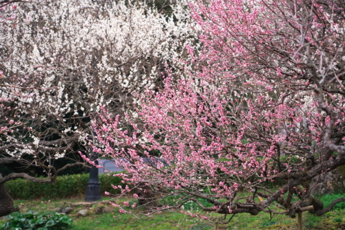 a0263109_20440971.jpg
