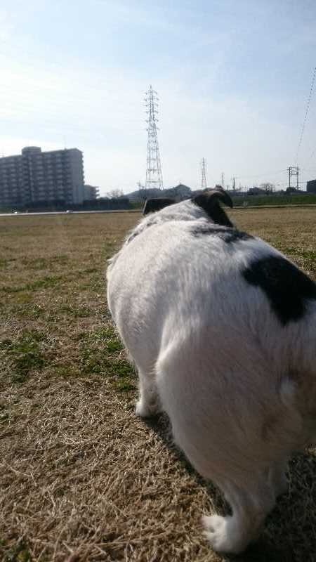 しばしの別れ 続 びーち はうす