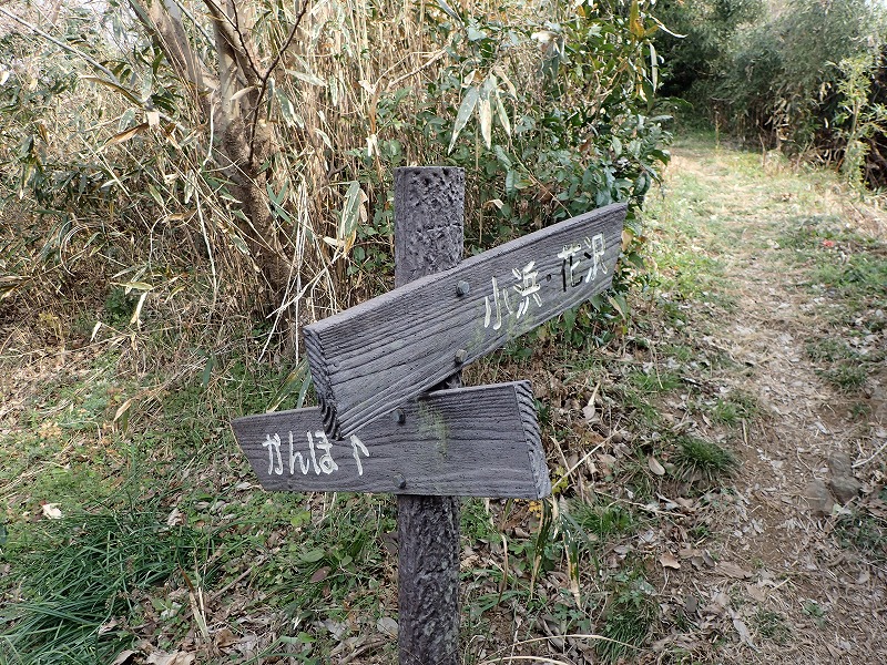 e0284726_13211527.jpg