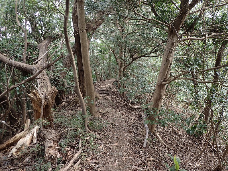 e0284726_13215417.jpg