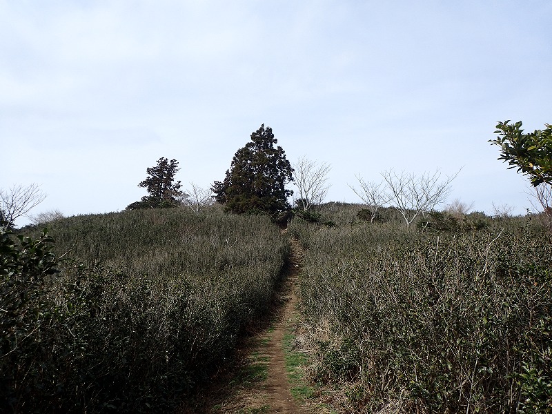 e0284726_1325736.jpg