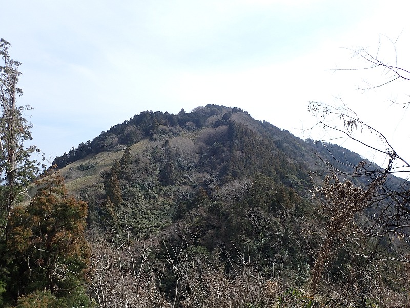 e0284726_14224885.jpg