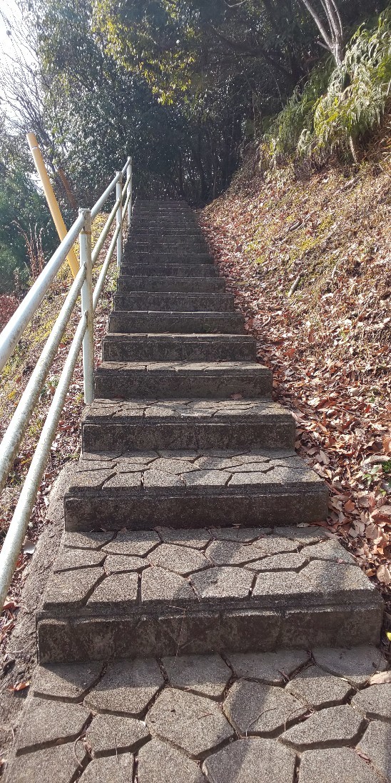 またまた散歩の話し。..._e0376933_22563290.jpg