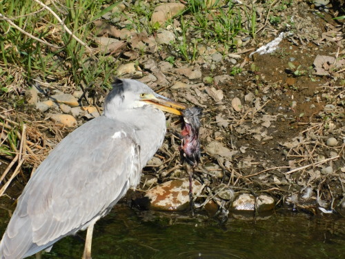 c0338136_13213325.jpg