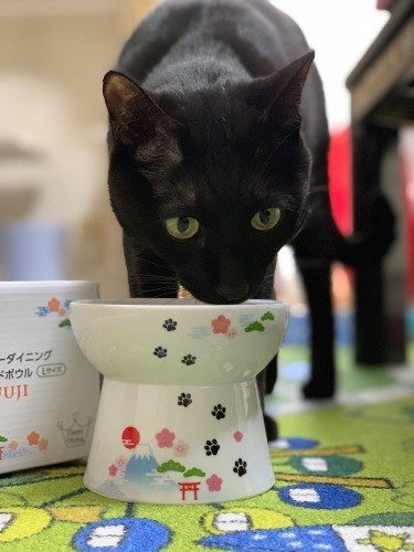 b0341440_16021955.jpeg