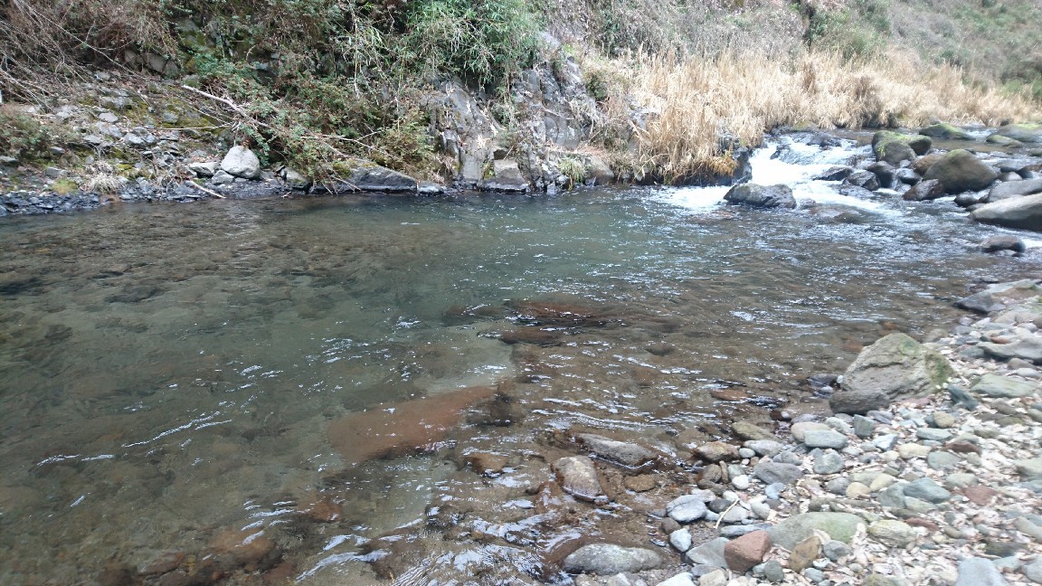 a0201743_17025297.jpg