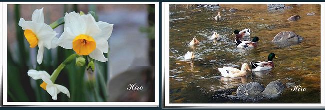 画像ファイルのurl化 聚 糧 画像ファイルのurl化 聚 糧