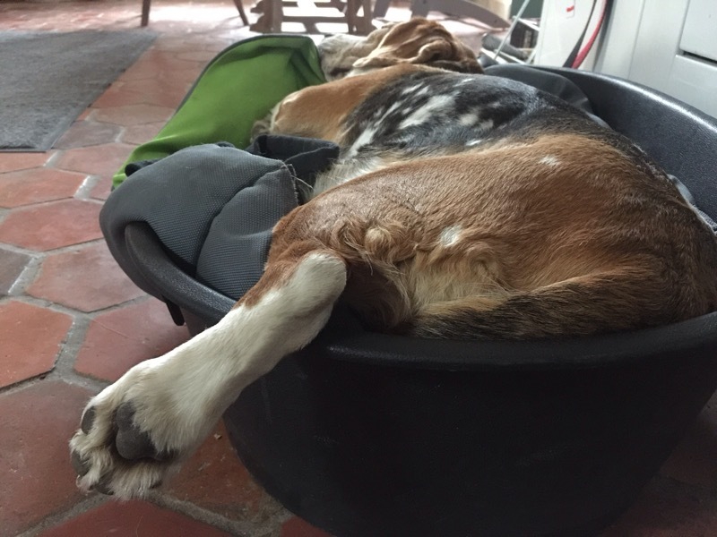 b0069848_05100840.jpeg