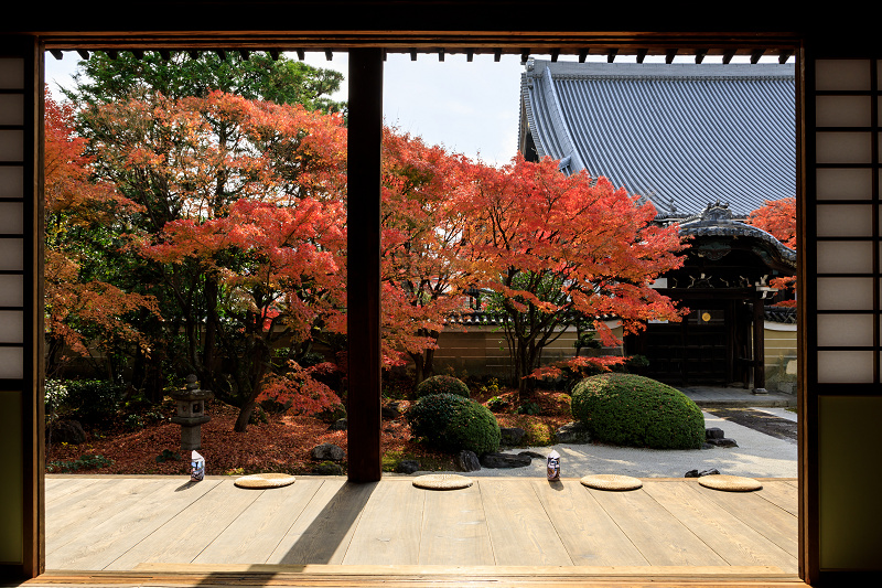 京の紅葉2018　妙顕寺のお庭にて_f0155048_23414850.jpg