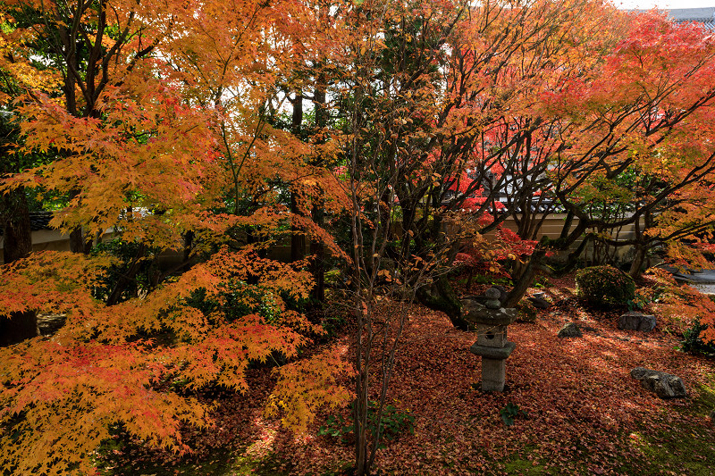 京の紅葉2018　妙顕寺のお庭にて_f0155048_23434270.jpg