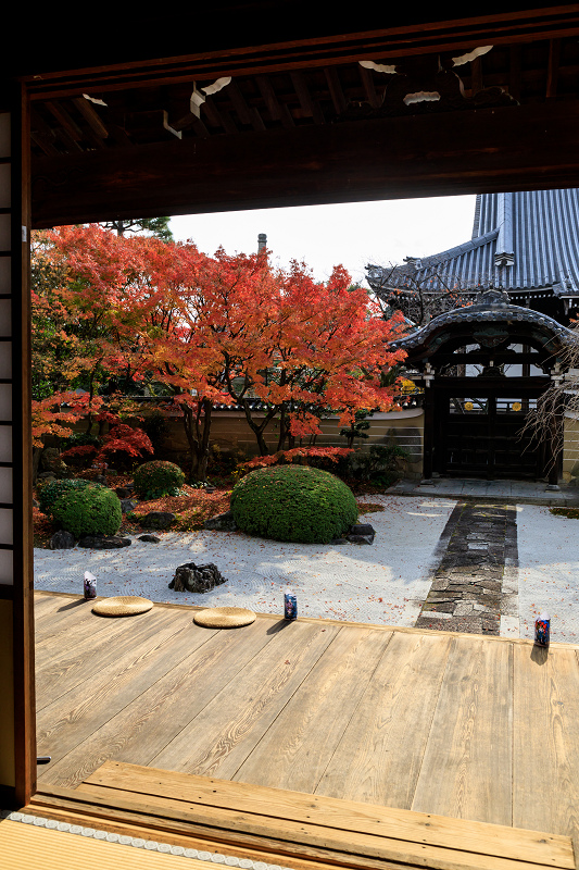 京の紅葉2018　妙顕寺のお庭にて_f0155048_23443956.jpg