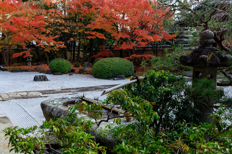 京の紅葉2018　妙顕寺のお庭にて_f0155048_2345652.jpg