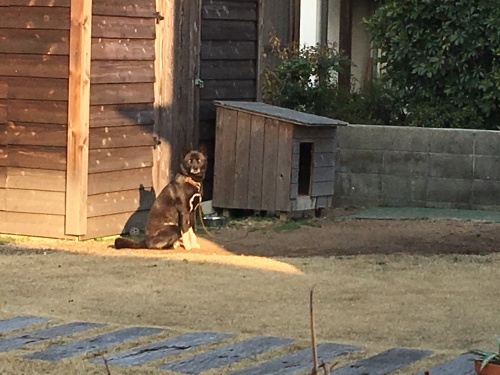 a0152454_07524290.jpeg
