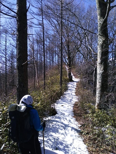 傘山(1,542m)御嶽山コース 2019年2月18日_b0319255_14145401.jpg
