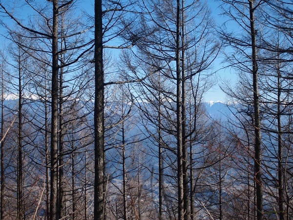 傘山(1,542m)御嶽山コース 2019年2月18日_b0319255_14491654.jpg