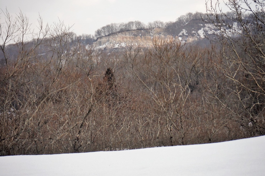 c0294658_21534340.jpg